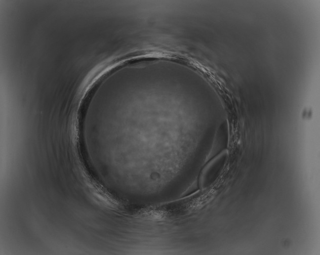 X0000097770247200803071324