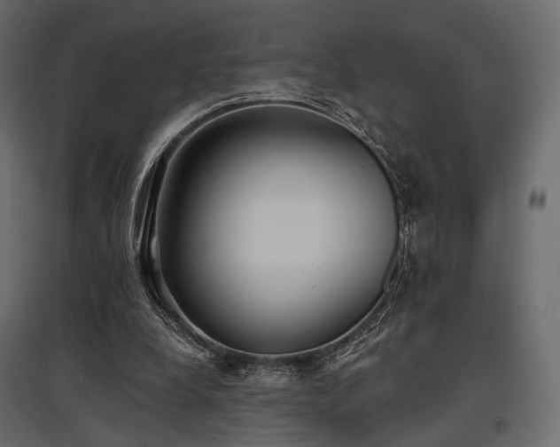 X0000097770248200803071324