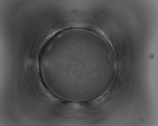 X0000097770249200803071324