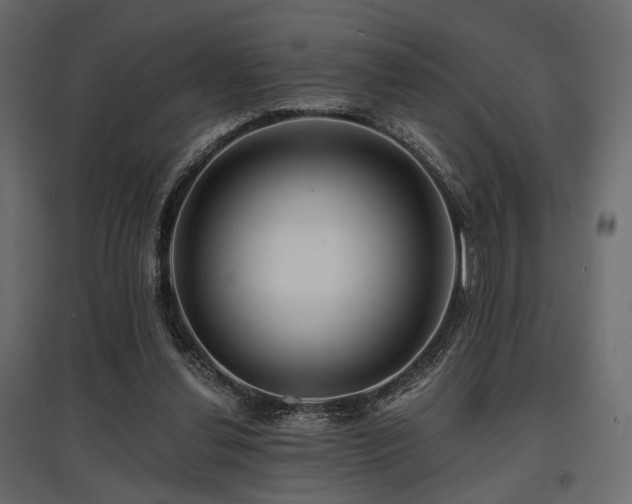 X0000097770252200803071324