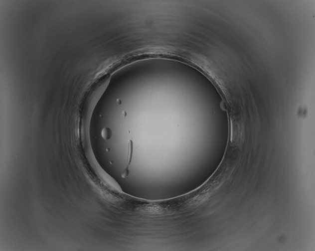 X0000097770253200803071324
