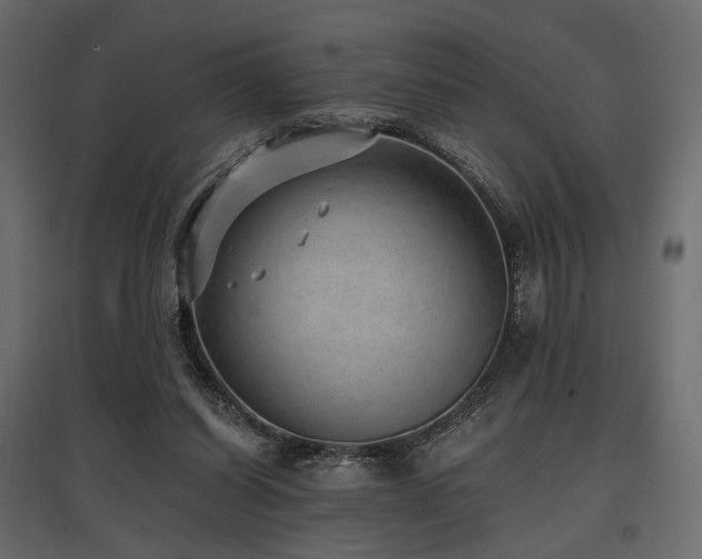 X0000097770254200803071324