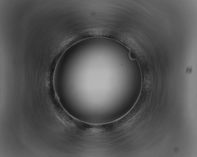 X0000097770255200803071324