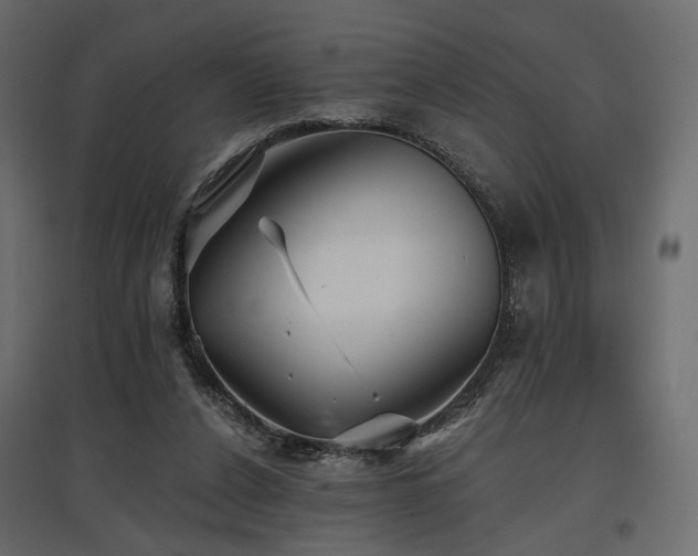 X0000097770256200803071324