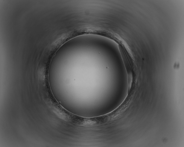 X0000097770257200803071324