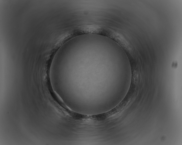 X0000097770259200803071324