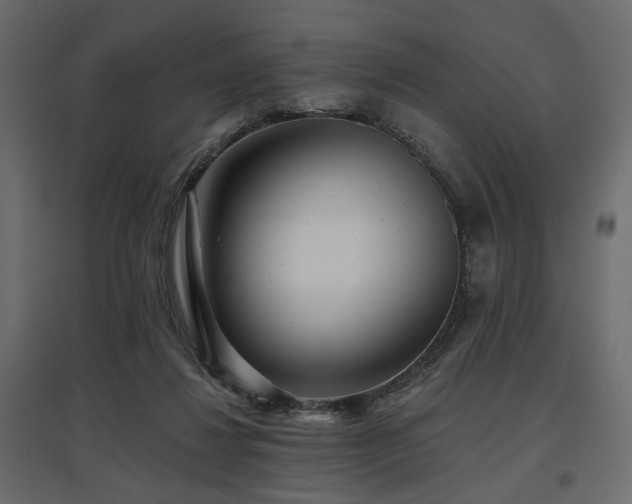 X0000097770260200803071324