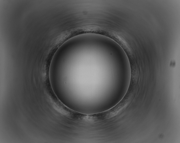 X0000097770261200803071324