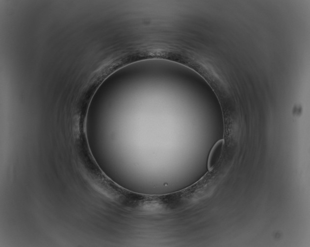 X0000097770262200803071324