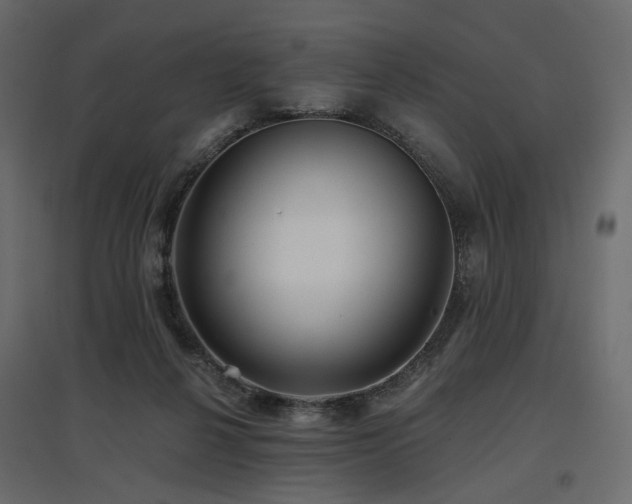 X0000097770264200803071324