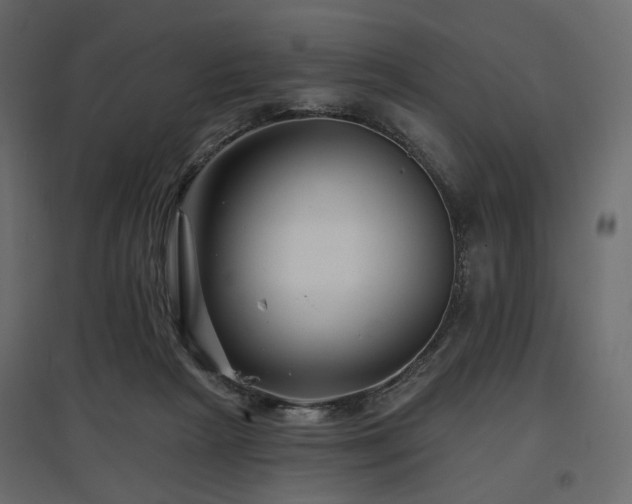 X0000097770265200803071324