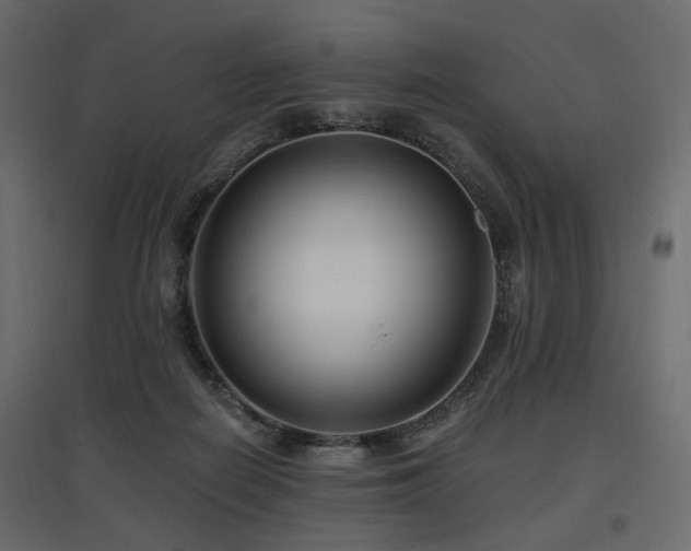 X0000097770266200803071324