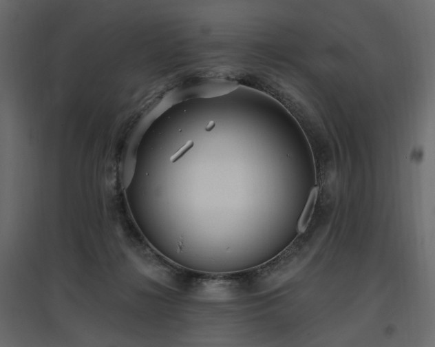 X0000097770268200803071324