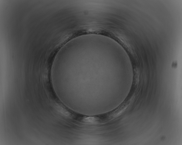 X0000097770269200803071324