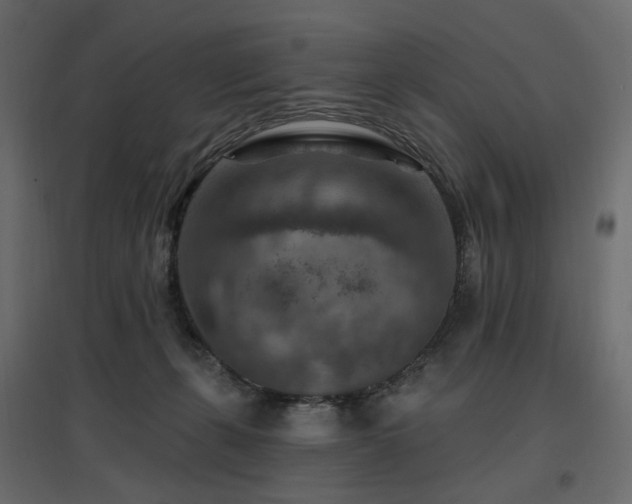 X0000097770271200803071324