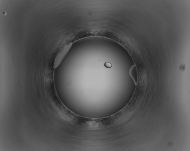 X0000097770272200803071324