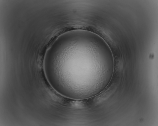 X0000097770273200803071324