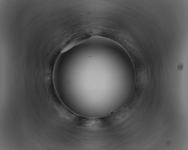 X0000097770274200803071324