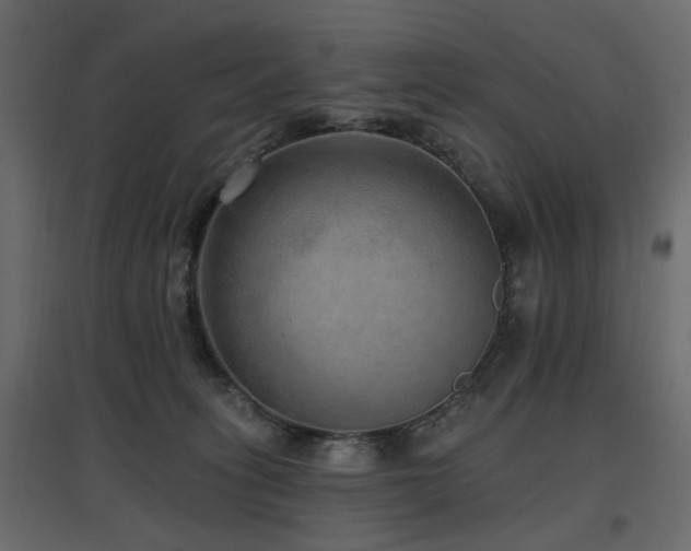 X0000097770275200803071324