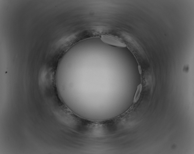 X0000097770276200803071324