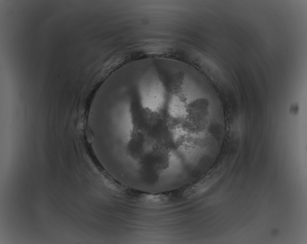 X0000097770277200803071324