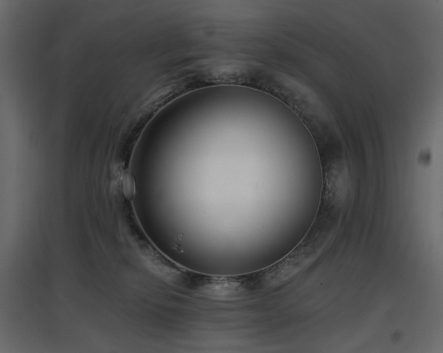 X0000097770278200803071324