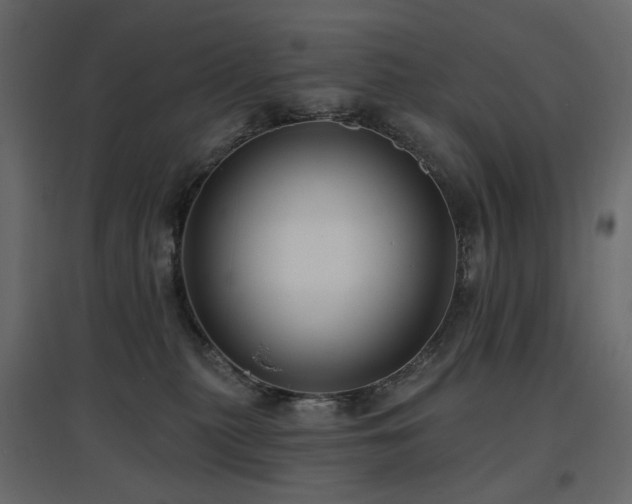 X0000097770279200803071324
