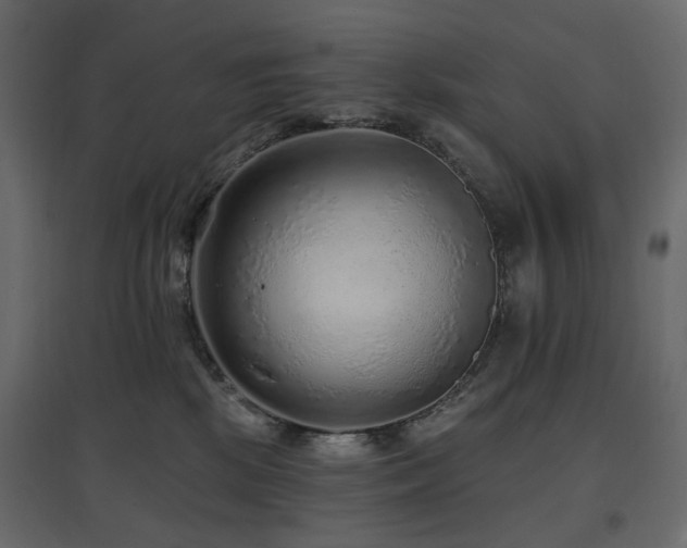 X0000097770281200803071324