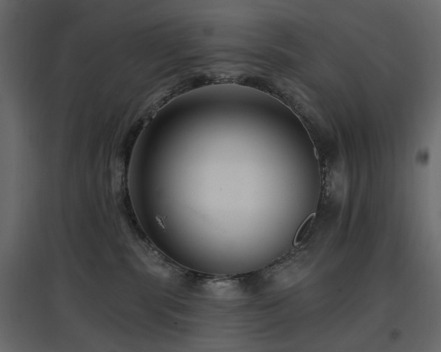 X0000097770283200803071324
