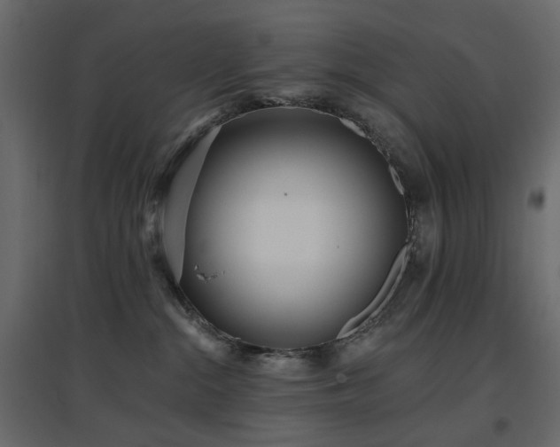 X0000097770284200803071324