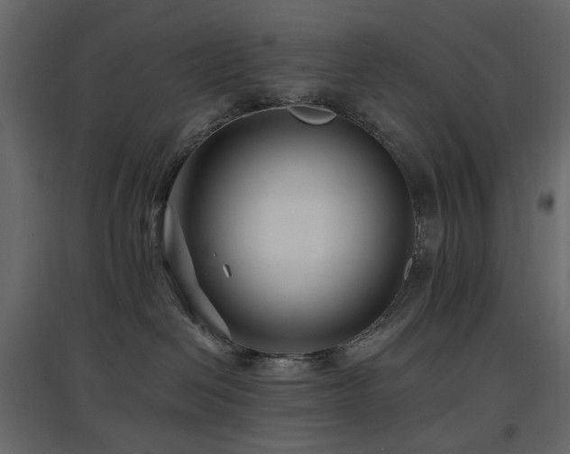 X0000097770286200803071324