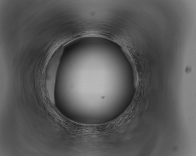 X0000097770289200803071324