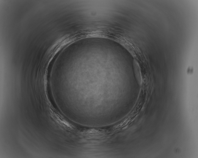 X0000097770290200803071324