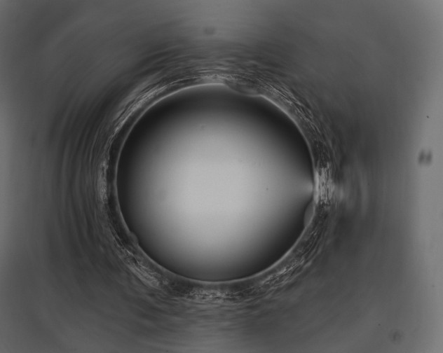 X0000097770291200803071324