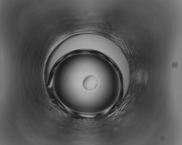 X0000097770292200803071324
