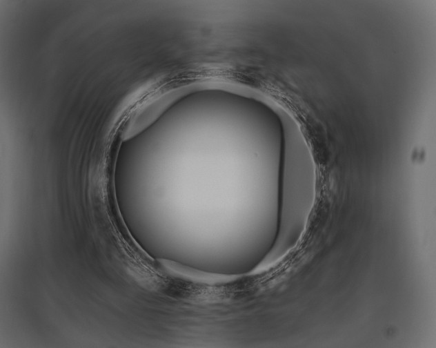 X0000097770293200803071324