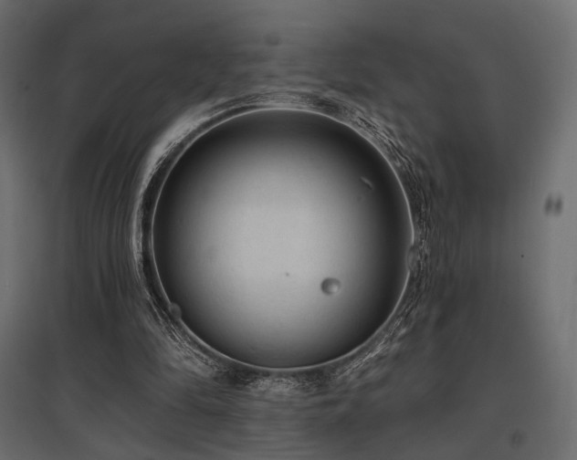 X0000097770294200803071324