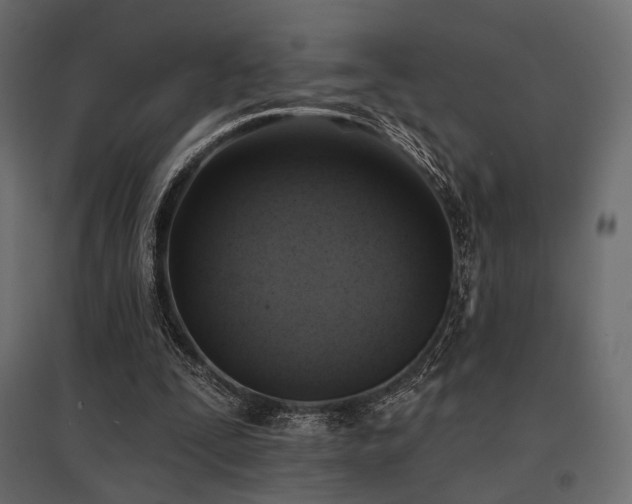 X0000097770295200803071324