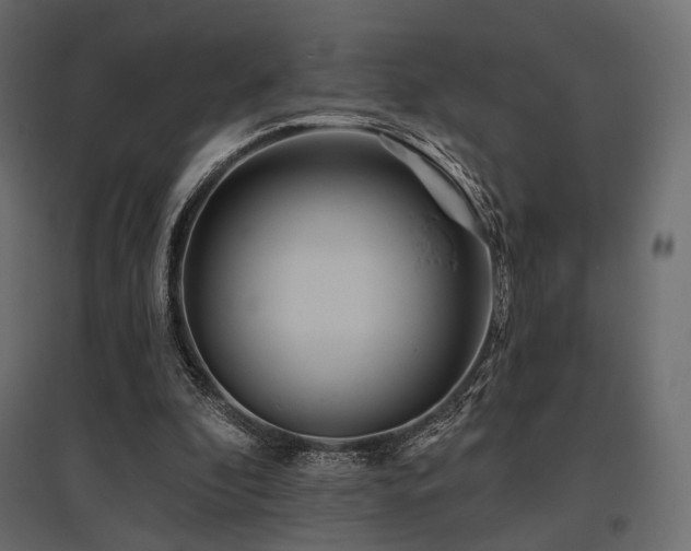 X0000097770296200803071324