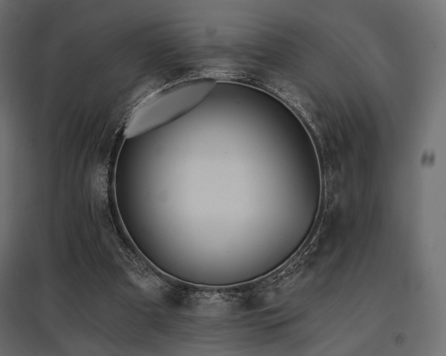 X0000097770297200803071324