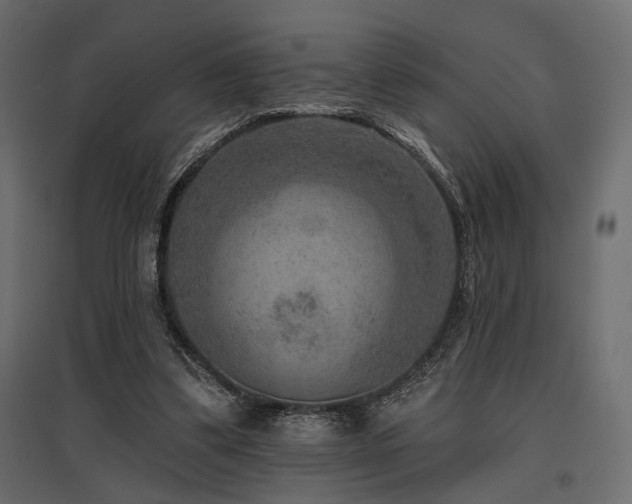 X0000097770299200803071324