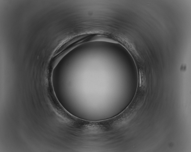 X0000097770300200803071324