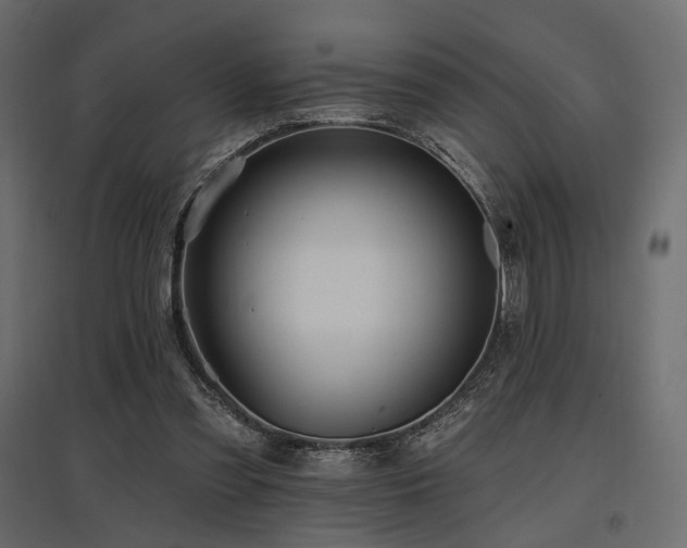 X0000097770301200803071324