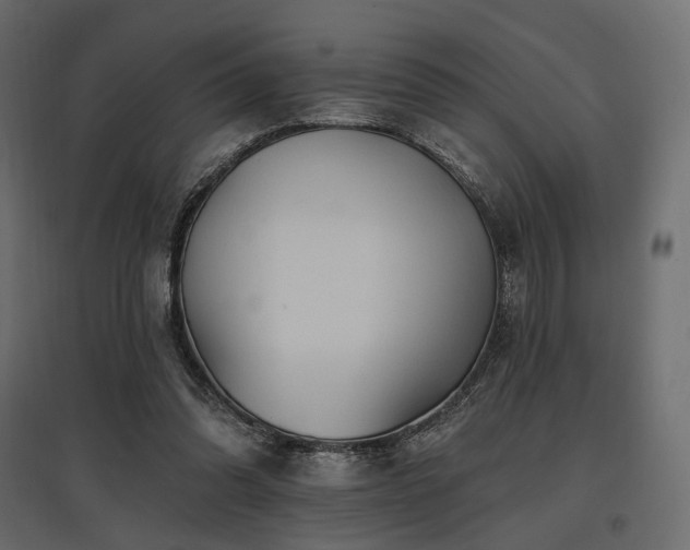X0000097770302200803071323