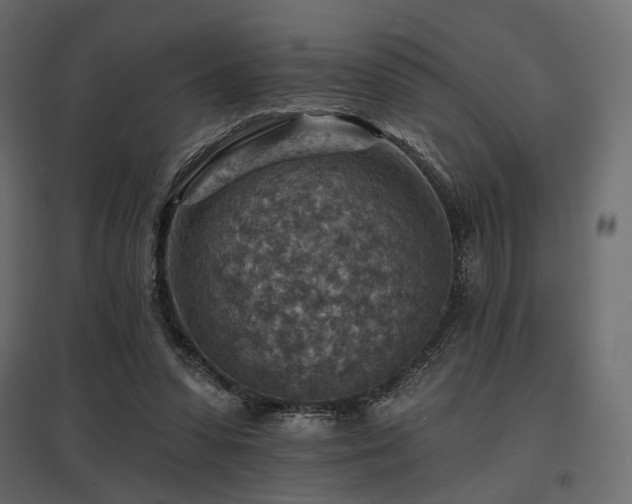 X0000097770303200803071323