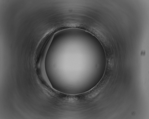 X0000097770304200803071323