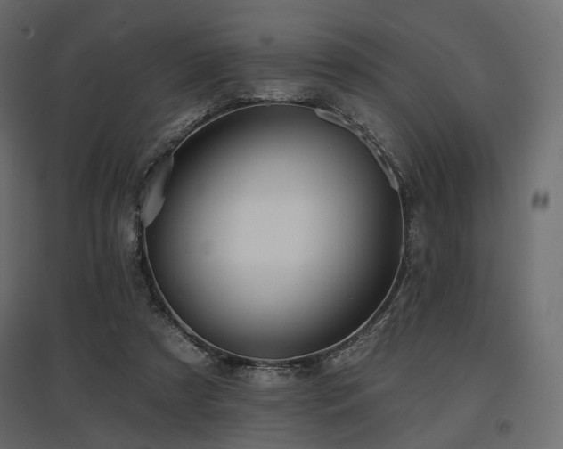 X0000097770305200803071323