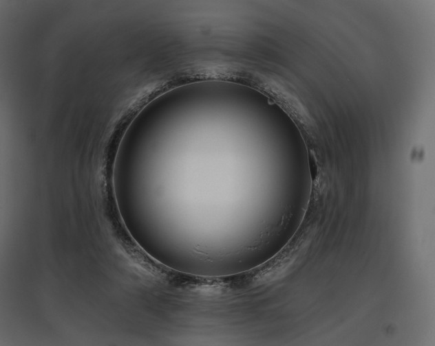 X0000097770306200803071323