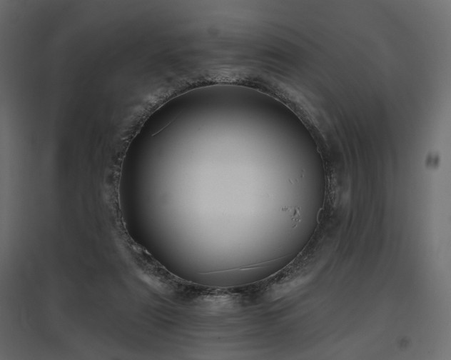 X0000097770307200803071323