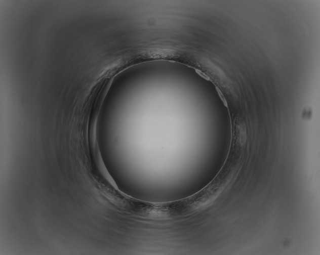 X0000097770308200803071323